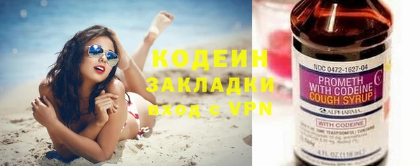ГАЛЛЮЦИНОГЕННЫЕ ГРИБЫ Богданович