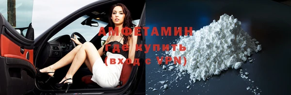 ГАЛЛЮЦИНОГЕННЫЕ ГРИБЫ Богданович