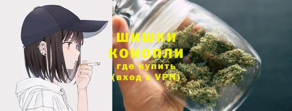 spice Богородск