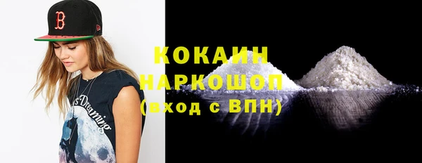ГАЛЛЮЦИНОГЕННЫЕ ГРИБЫ Богданович