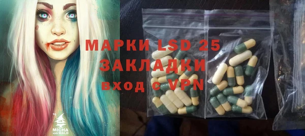 spice Богородск